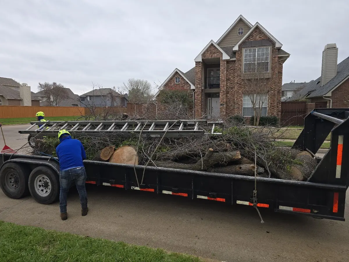 Expert Tree Fertilization with proper safety equipment in Germanton